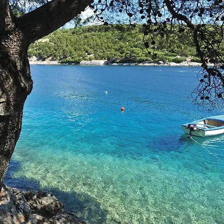 アパート In With Kitchen Selca